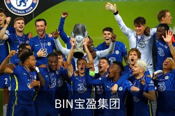 关于BIN宝盈集团