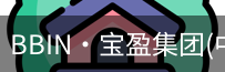 BIN宝盈集团